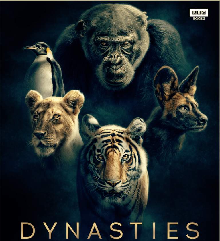 IL POTERE DINASTICO NEL MONDO MODERNO