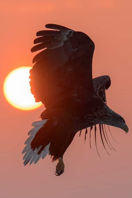 UNA FAMIGLIA MONDIALE