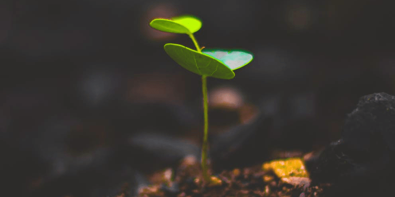 Il concetto di soggetto povero