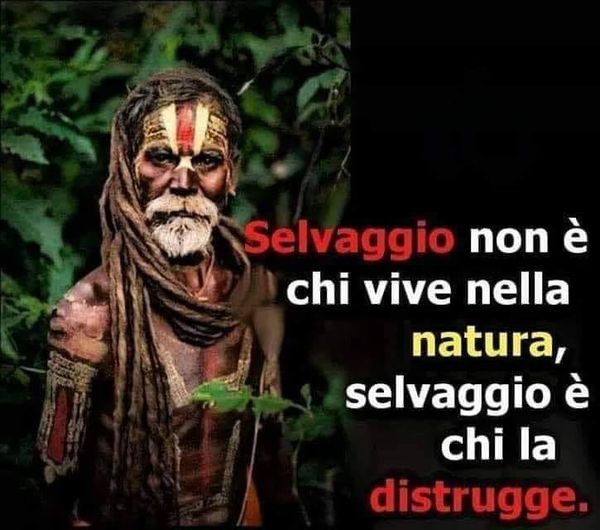 L'ESSERE UN SELVAGGIO