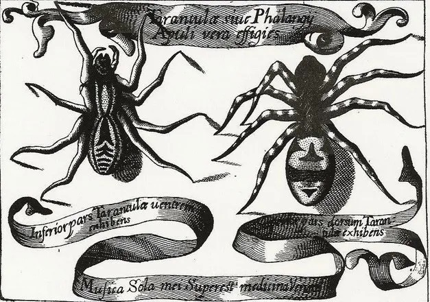 Ernesto De Martino: Tarantismo, Sud e Magia