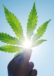 CONTRO LA DEMONIZZAZIONE DELLE DROGHE E DELLA MARIJUANA IN PARTICOLARE