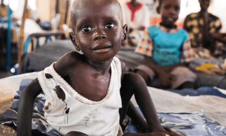 Sudan, oltre 6 milioni sull’orlo della carestia