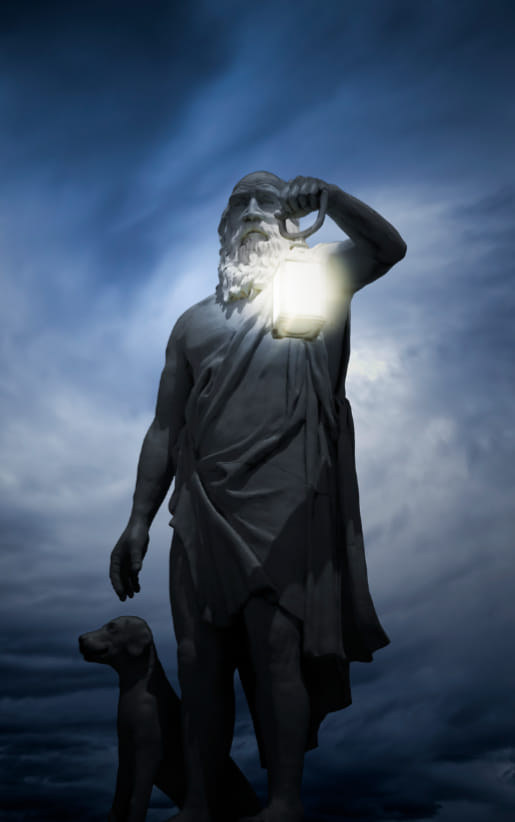 LA MIGLIORE VENDETTA