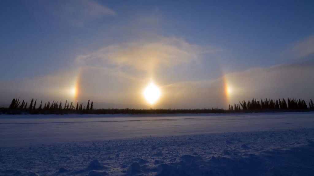 VINCIT OMNIA VERITAS