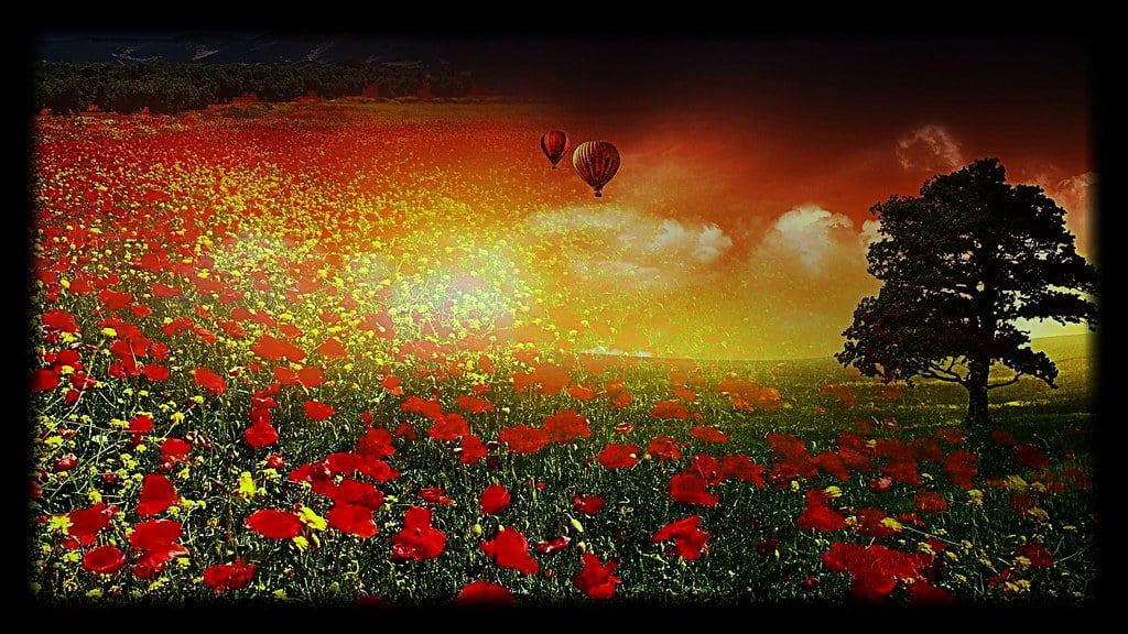 EGOISMO E L'IO VERIDICO