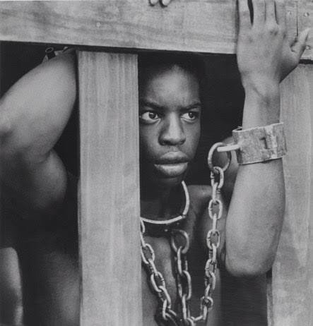 L'ISTINTO ARCONTICO DI SUPERIORITA'