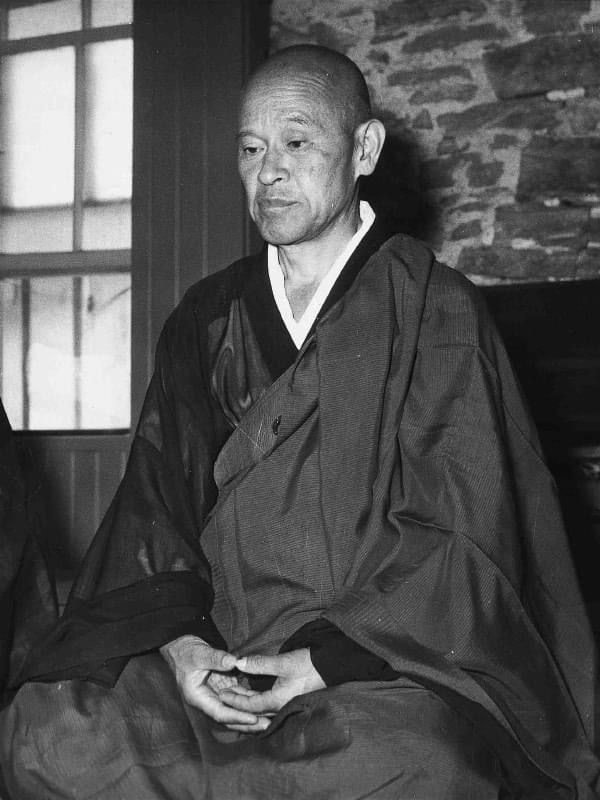 LA MENTE DI PRINCIPIANTE