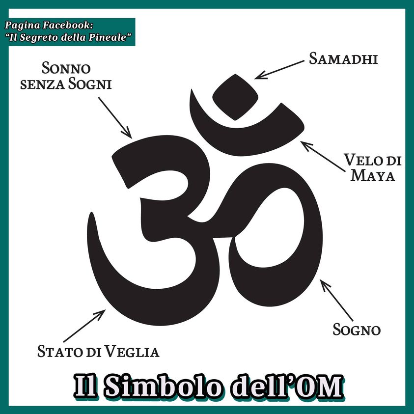 GLI STATI DELLA COSCIENZA