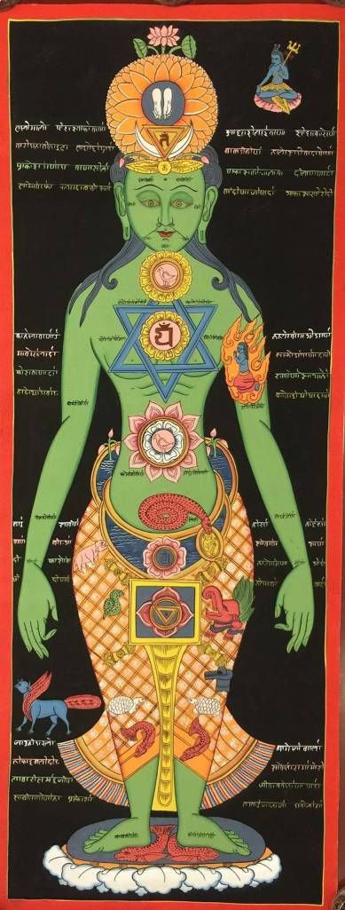 COSCIENZA: NATURA PROPRIA DELLA MENTE