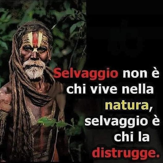 ESSERE SELVAGGIO?