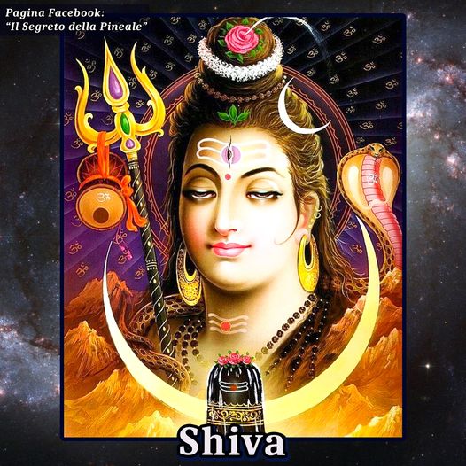 IL GURU DI TUTTI I GURU