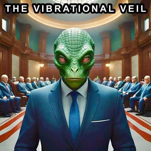 IL VELO VIBRAZIONALE