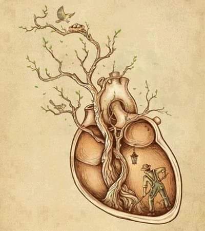 COLTIVARE E CUSTODIRE