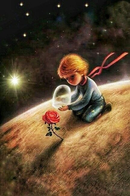 LA ROSA NEL PROPRIO CUORE