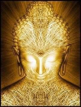 AUTONOMIA E' LIBERTA'