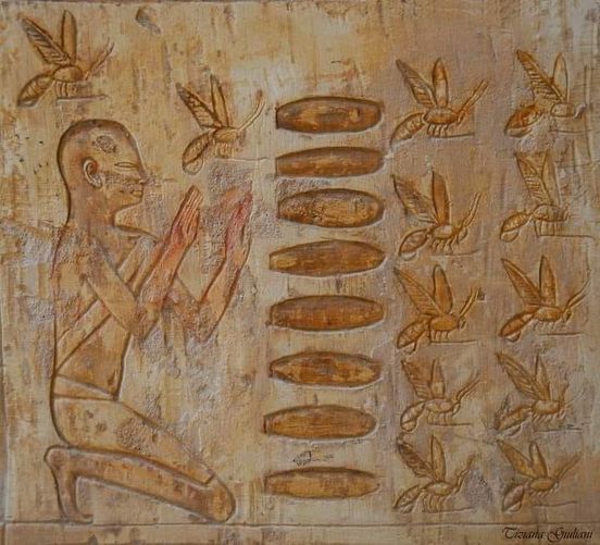 IL CORPO E' STRUMENTO DELLO SPIRITO