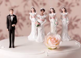 LA POLIGAMIA ISLAMICA IN ITALIA QUALE CONSUETUDINE DI CONVIVENZE DI FATTO