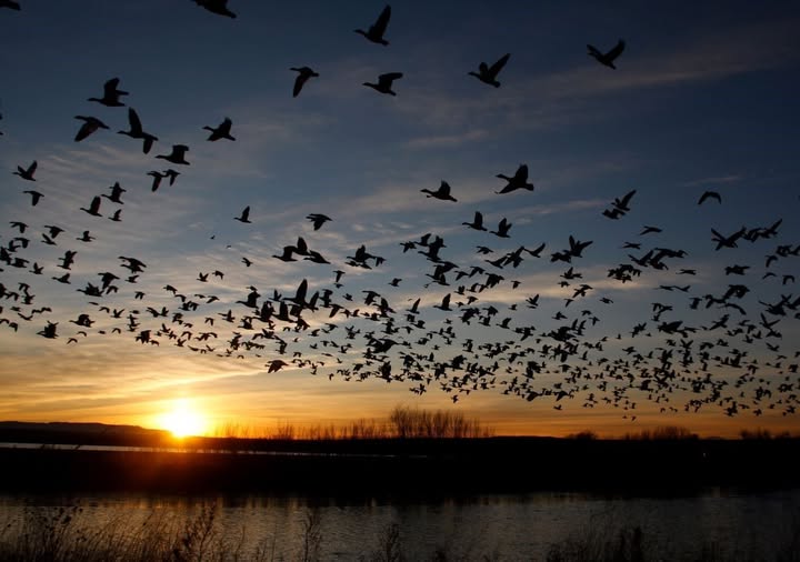 CONCILIARE L'UNO CON I MOLTI