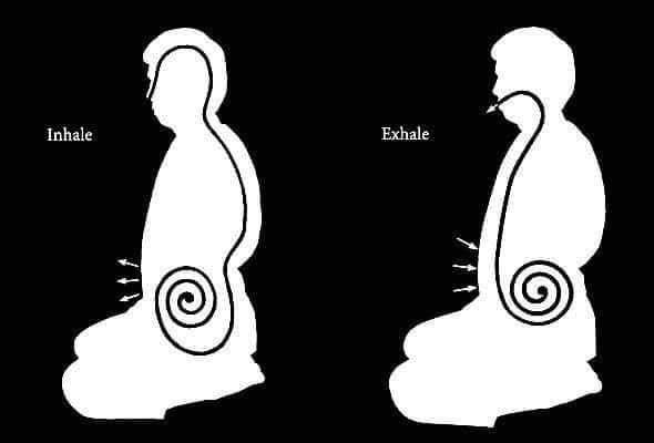 RESPIRO FONTE DI MENTE E COSCIENZA