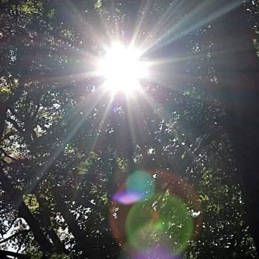 OGNUNO VIVRÀ NEL MONDO CHE PUÒ VEDERE