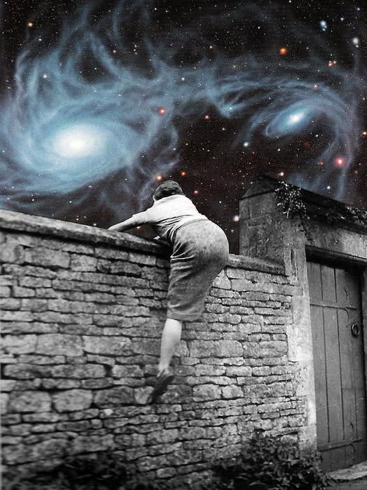 LA LIBERTA' E LA VITA
