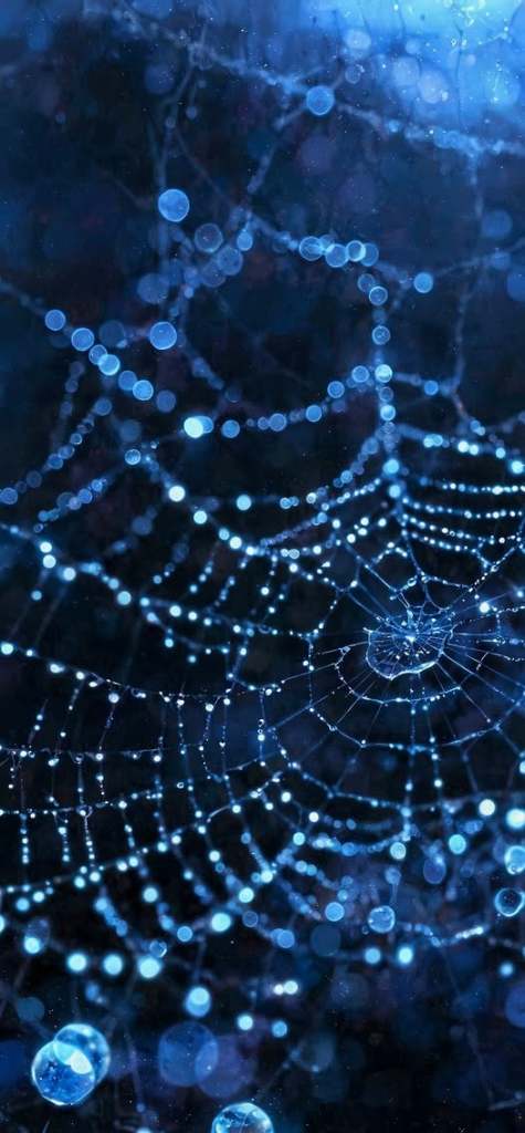 IL FALLIMENTO DI ISRAELE