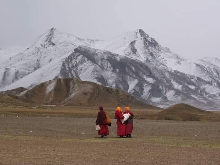 PERCHE' I COSIDDETTI ESSERI NORMALI PRODUCONO ARMI?