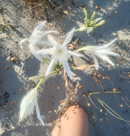 NESSUNO ENTRA INVANO NELLA TUA VITA