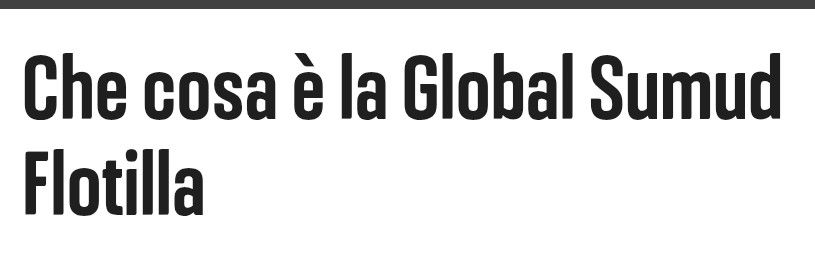 CHE COS'E' LA GLOBAL SUMUD FLOTILLA