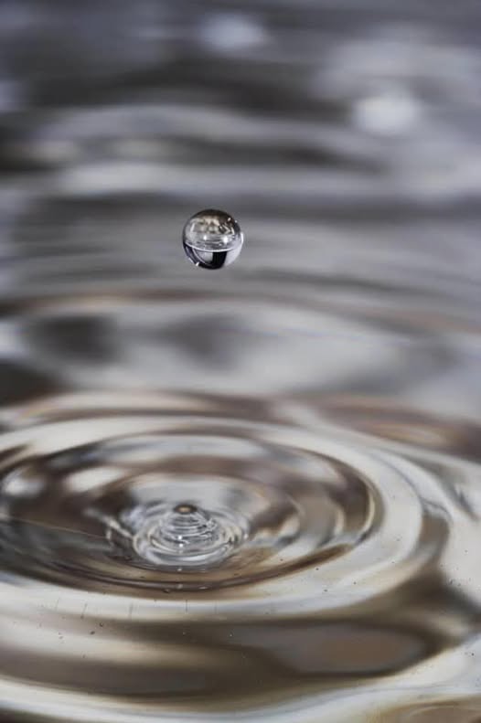 NIENTE DA GUADAGNARE E NIENTE DA PERDERE