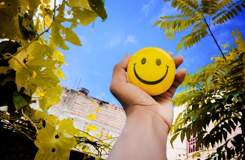 COSA E' LA FELICITA'?