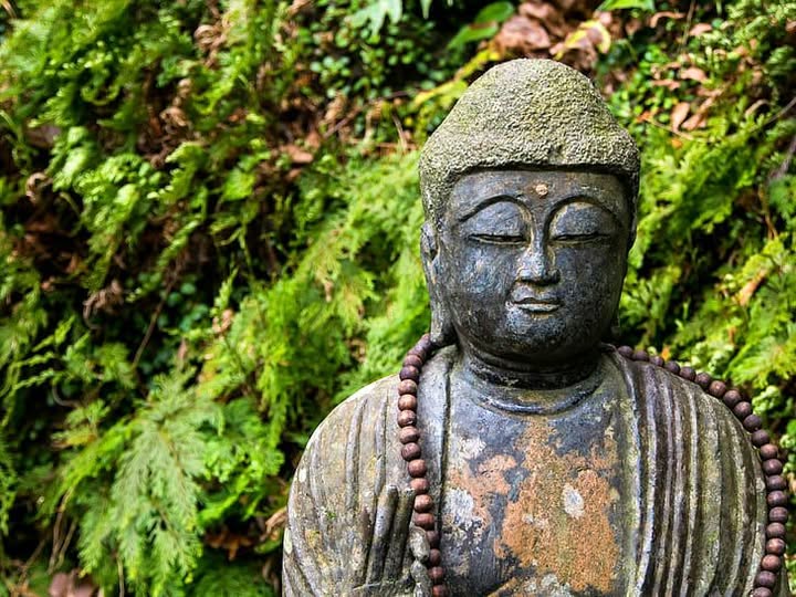 LA FELICITA' VERA ESISTE SOLO SE CONDIVISA