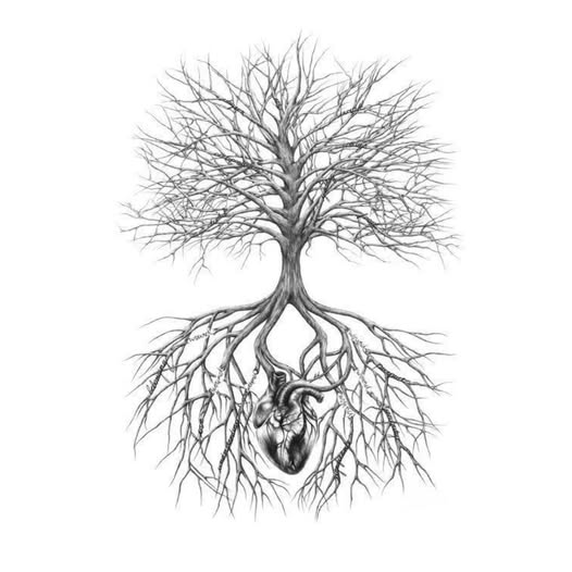 L'ALBERO DELL'EQUILIBRIO