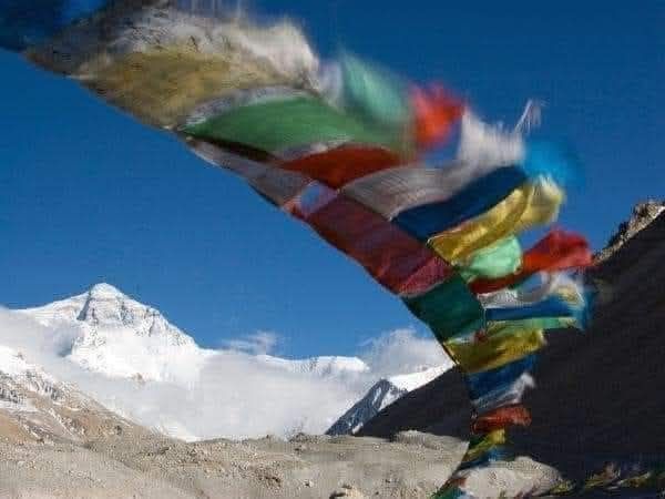 UNA MENTE IMMOBILE E' MEDITAZIONE