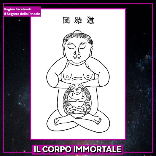 IL CORPO IMMORTALE