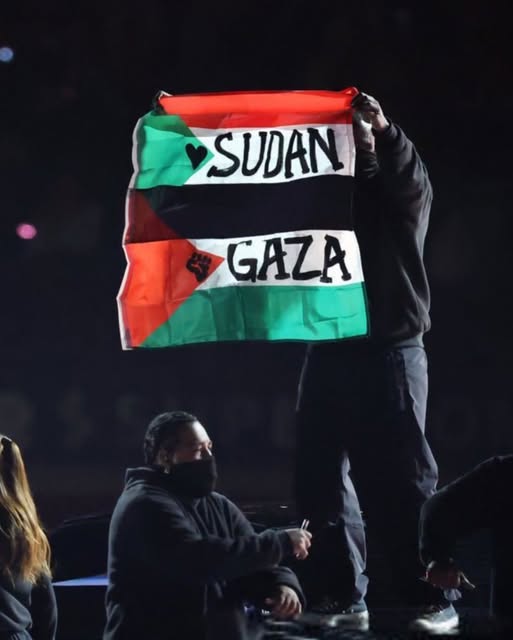 LA GUERRA COGNITIVA: IL CASO GAZA-SUDAN