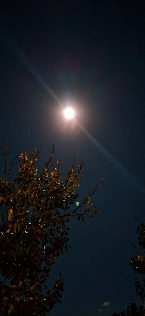 PERDERE DIO O TROVARE DIO?