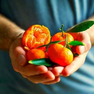 VITA PIENA PER POCHI E VITA SPRECATA PER TANTI