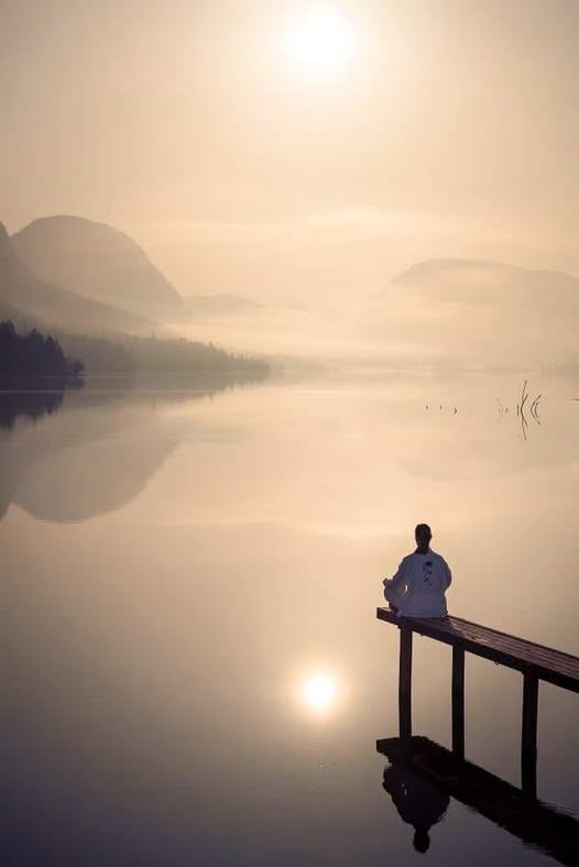 COME L'APE SI DIMORI NEL MONDO