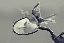 COSA E' DAVVERO IL "FANA" OSSIA L'ESTINZIONE DELL'EGO?