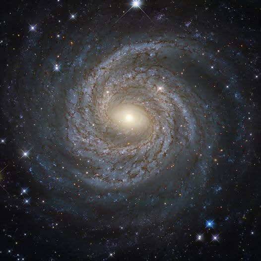 LA COSCIENZA UNIVERSALE QUALE CAUSA DI TUTTO