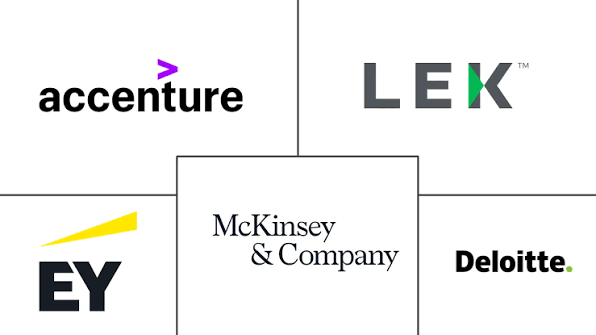La Fine del Vaticano: Il Rischio di Delegare a Società di Consulenza Esterna