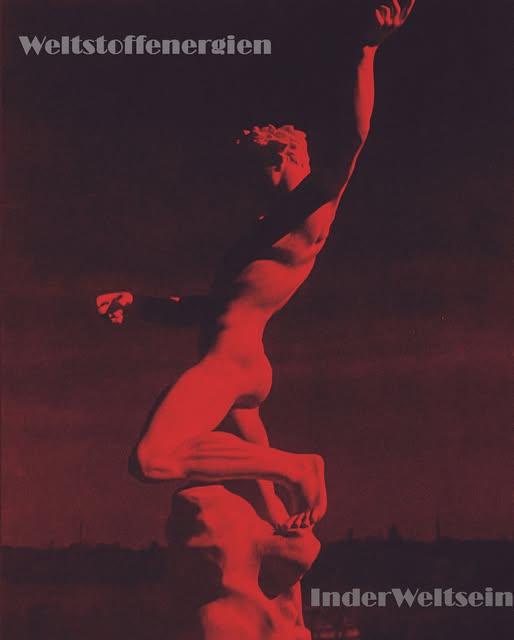 UNA METAFISICA INDOARIANA DI LOTTA E AZIONE